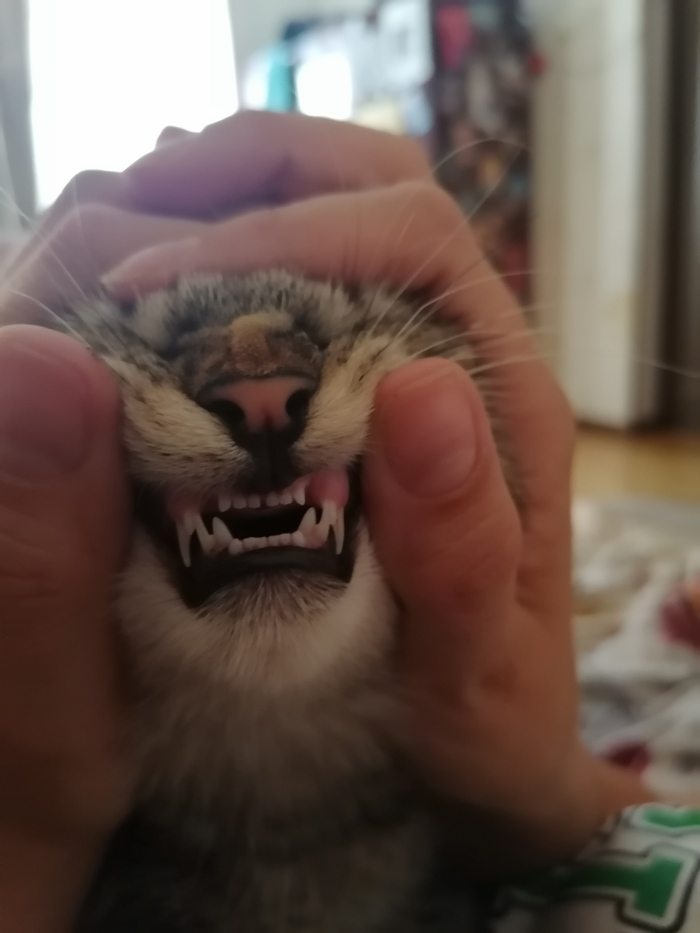 ��� �����)�� ��� ����� ������ � ����� ���������