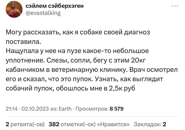 «Лидер движения инцелов»: кто такой Алексей Поднебесный и за что на него завели уголовное дело