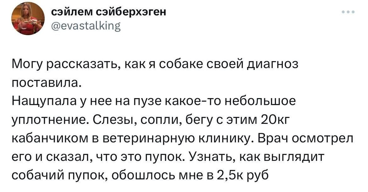 Как выглядела собака обидчица хрюкина Посмотрите, как выглядит щенок, которого в Бресте достали из битума!