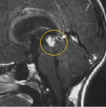 Не накрасилась