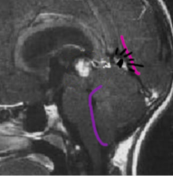 Почти накрасилась