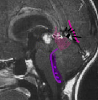 Готова к выходу