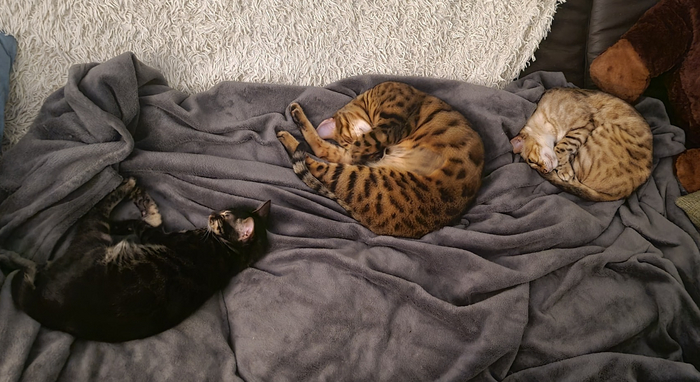 ����� �� ���� ��������� ���� ����� � ����!�