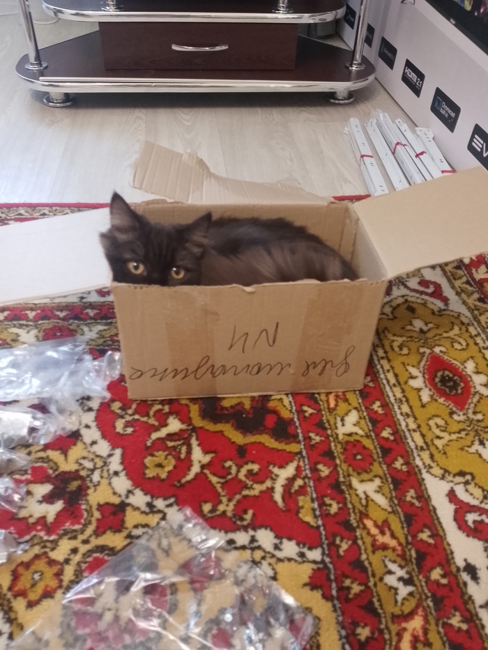 ��������