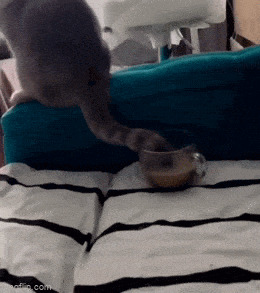   !