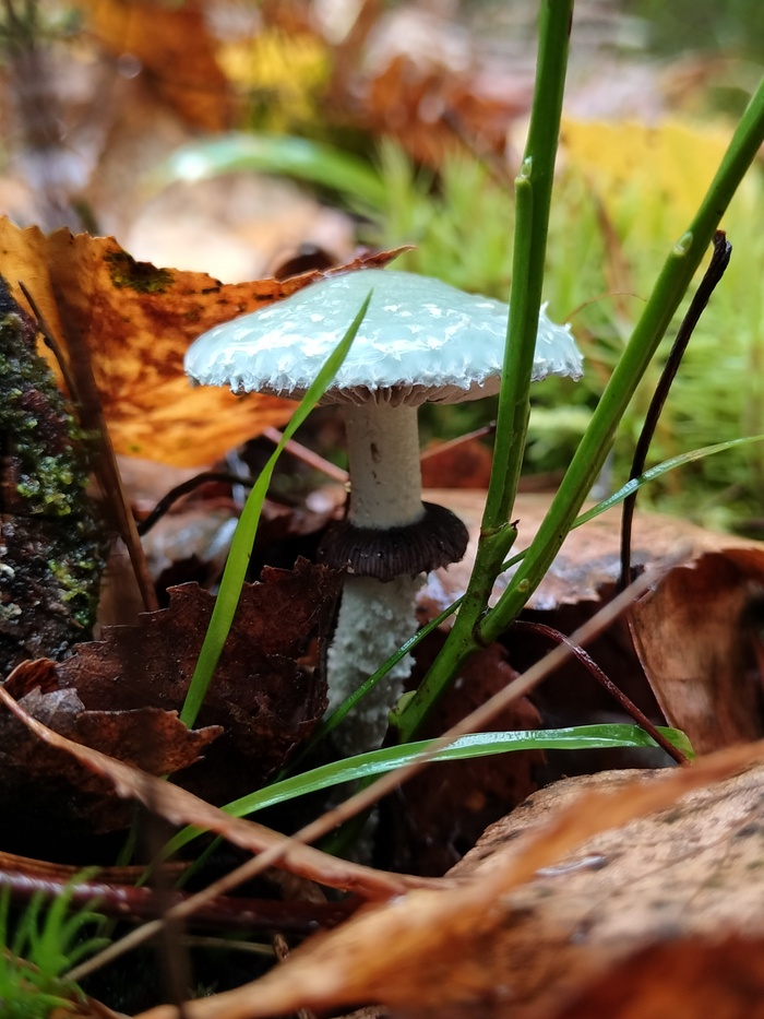 �������, ���������! �������� 2023, �������������