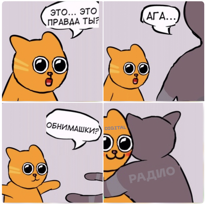    -3    , 