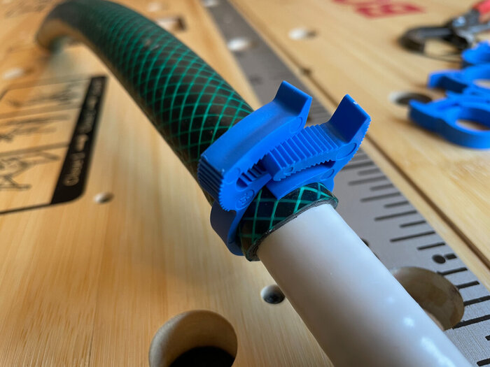 ���� ������