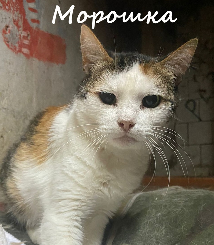 � ������� ����!