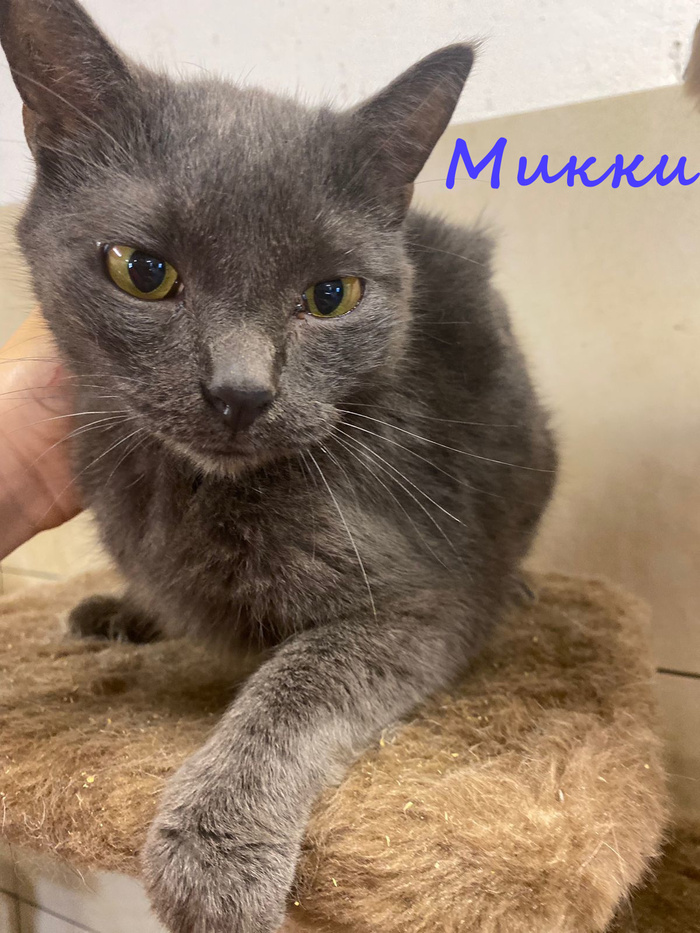 � ������� ����!

�� ���� �� ������� ��.

������� ���� ����������� � ����.

����� � �������� ��� � ����� �������!