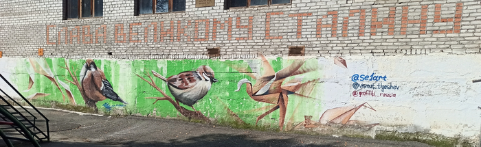 Птички ул. С. Мамсурова 14