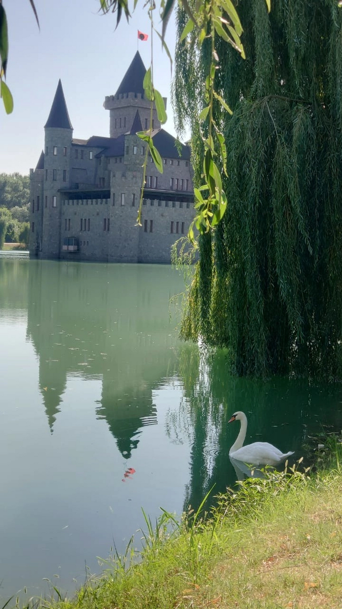   - , .  - .
    ,       .        ...