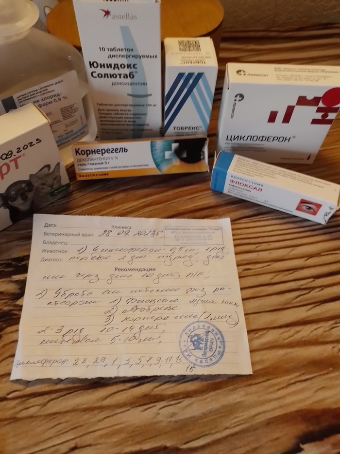 �� ������ ������ ����. ������ �������� � ����������. ���� ��� ����� ��� ���� ���� �����-�� �����������. ��� ��������� ������ ��������. � ������ ������ �� �����������, �� ������ ��� ������� ���������� �� �������.