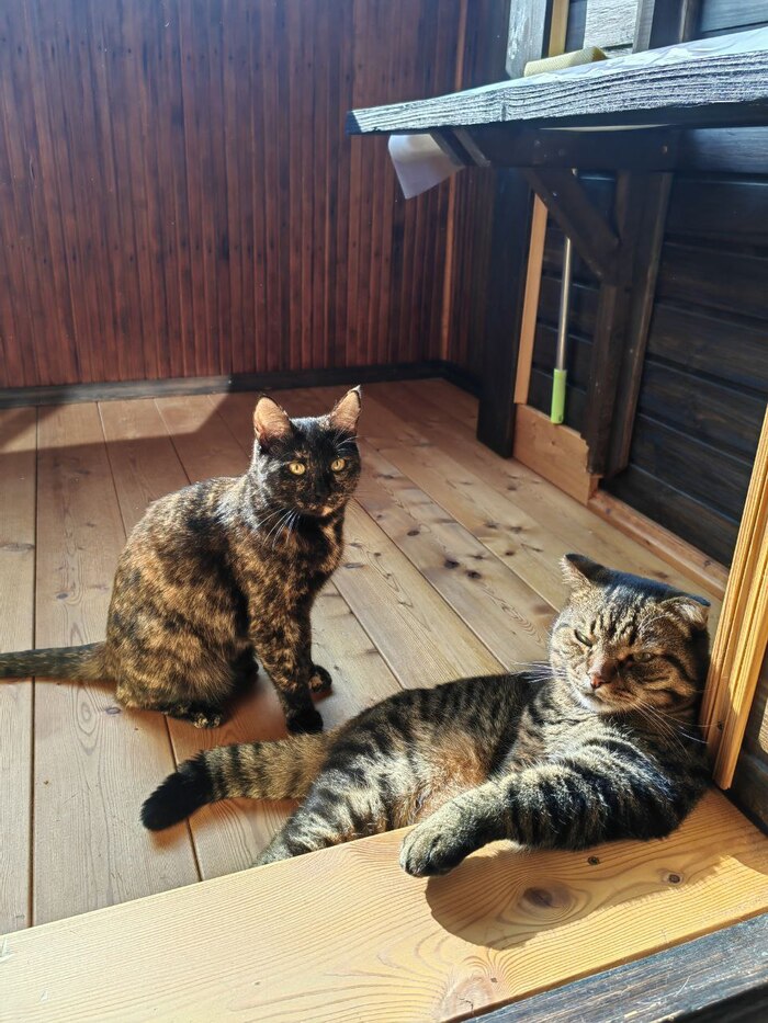 ���������, �������, ���� �� �����.