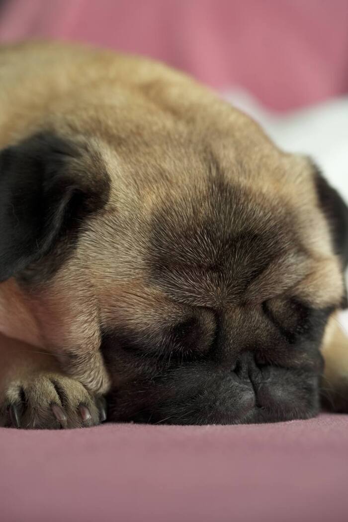 Маленький спун