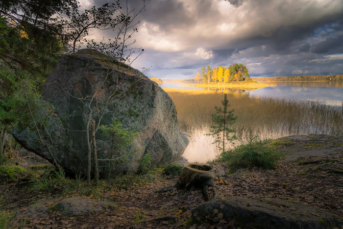 Встречаются как-то валун, пенек и сосна. В тот день природа была очень контрастна