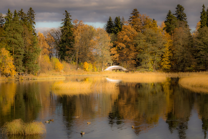 Один из горбатых Китайских мостиков. Когда-то они были цветными, но после утраты и восстановления стали белыми