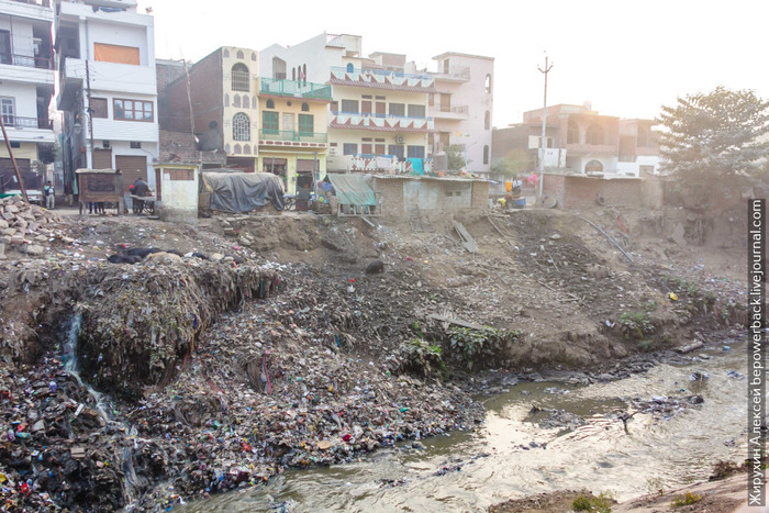 Ганг — самая грязная река в мире. А тут моются и пьют из нее Туристы, Путешествия, Туризм, Азия, Индия, Ганг, Экология, Варанаси, Длиннопост Ганг — самая грязная река в мире. А тут моются и пьют из нее Туристы, Путешествия, Туризм, Азия, Индия, Ганг, Экология, Варанаси, Длиннопост
