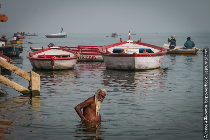 Ганг — самая грязная река в мире. А тут моются и пьют из нее Туристы, Путешествия, Туризм, Азия, Индия, Ганг, Экология, Варанаси, Длиннопост Ганг — самая грязная река в мире. А тут моются и пьют из нее Туристы, Путешествия, Туризм, Азия, Индия, Ганг, Экология, Варанаси, Длиннопост