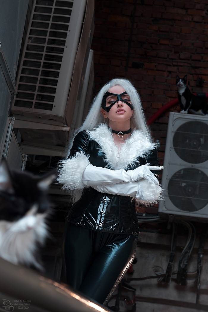 Cosplay Black Cat Spider-man -, Marvel, Blackcat, , , , 