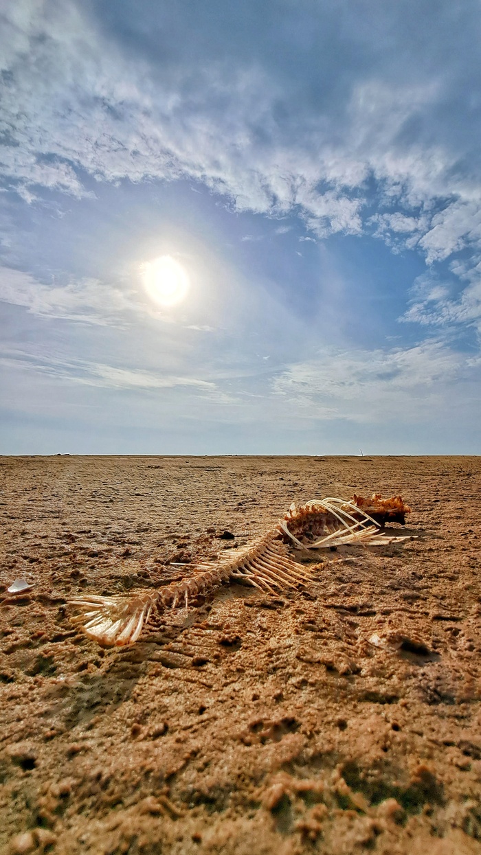 ��������� �������������