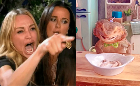 Ответ на пост «Капец такого дома держать»