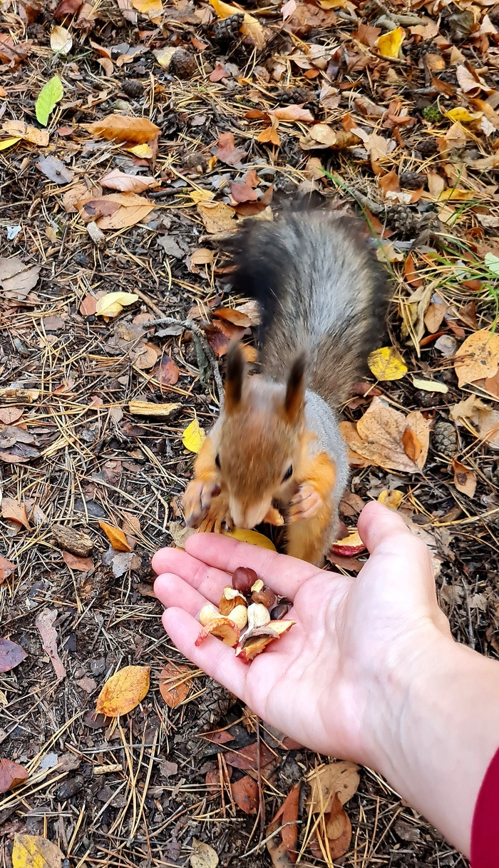 Ого сколько!