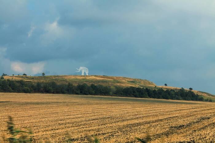 Одинокий путник