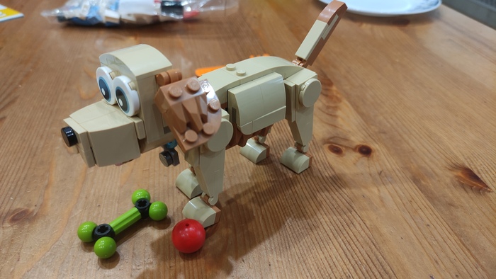 Второй пёс идёт с игрушками.