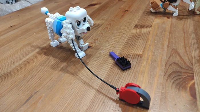 Эту породу я знаю - пудель. Есть поводок и расчёска.