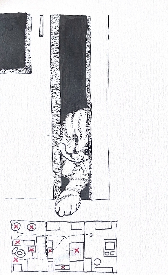 ���� �� ��� ���������