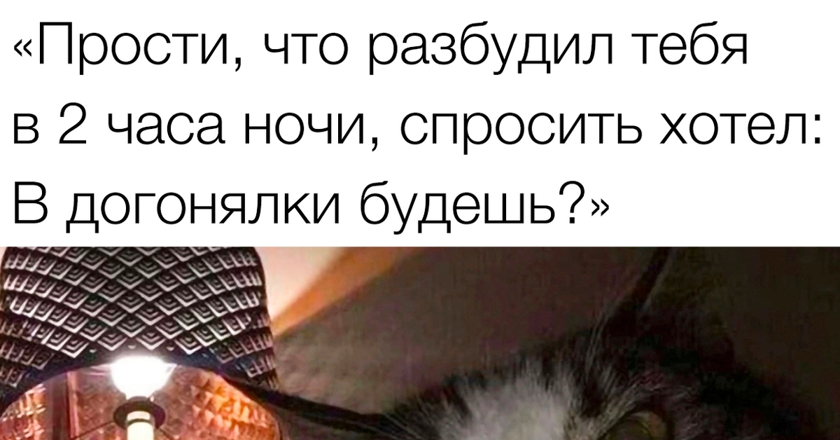 Тыгыдык-тыгыдык | Пикабу