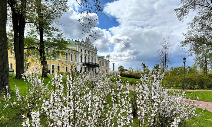 Путевой дворец и сад при нём. Автор: Мария Баларёва
