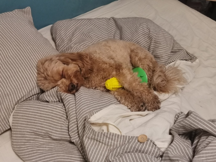 ���� ���