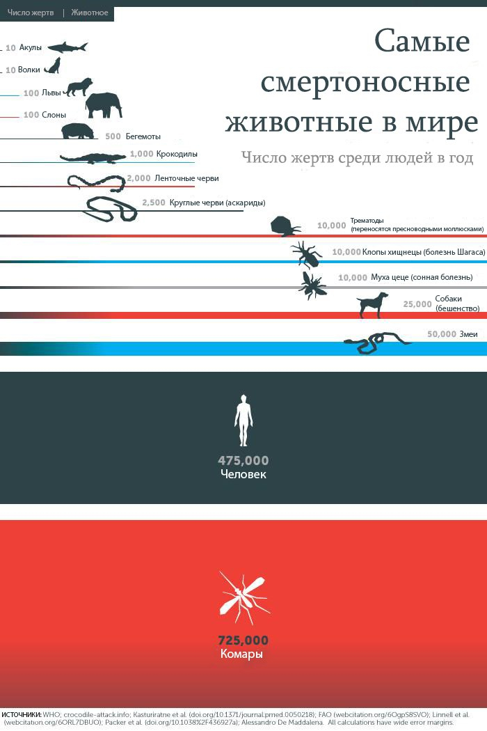 Самые смертоносные животные в мире Смертельно, Опасные животные, Лидер, Комары, Инфографика, Картинки, Негатив, Познавательно