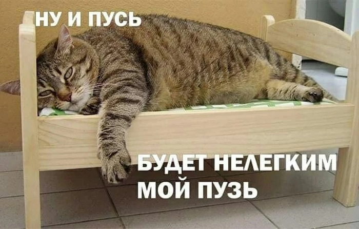  ... ,  ,  ,   