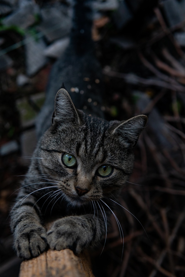 �������� ������