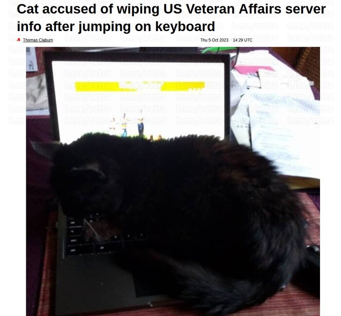 Сегодня не работаешь