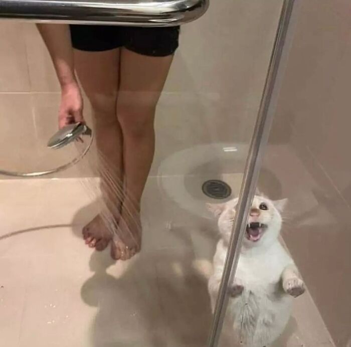! , ,  , 