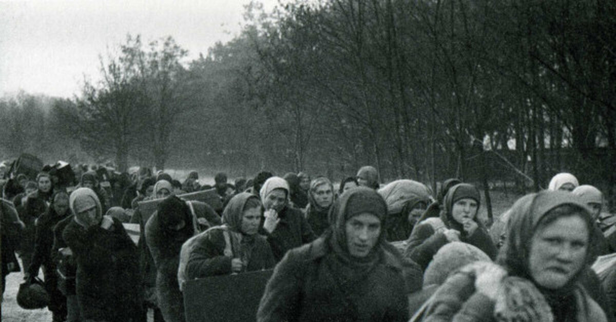 Угнанные в германию во время