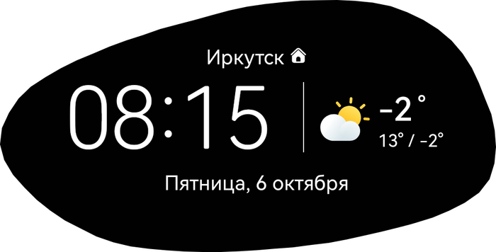 А самое главное, что эти фото сделаны по итогу недельных минусовых температур по ночам, с периодическим дождем. Куст чувствует себя прекрасно (не учитывая частичную желтизну из-за летнего солнечного пекла).