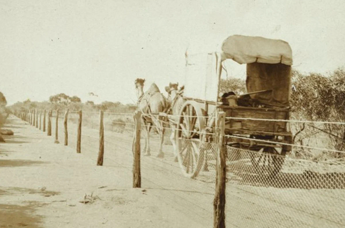 Патрулирование забора в 1926 году