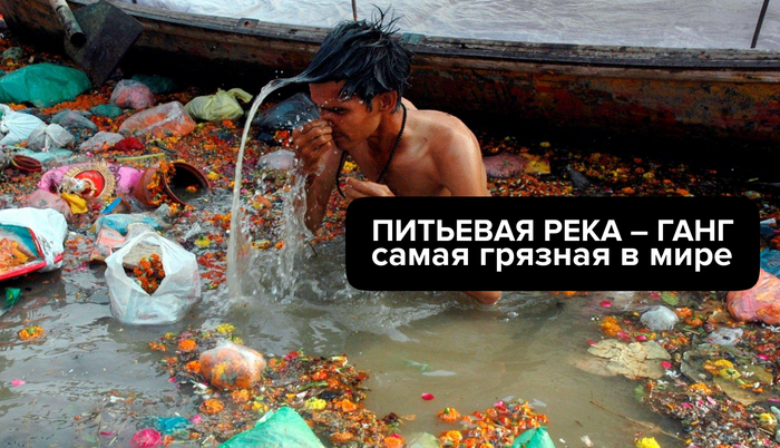       , , , ,  ,  , , , Telegram ()