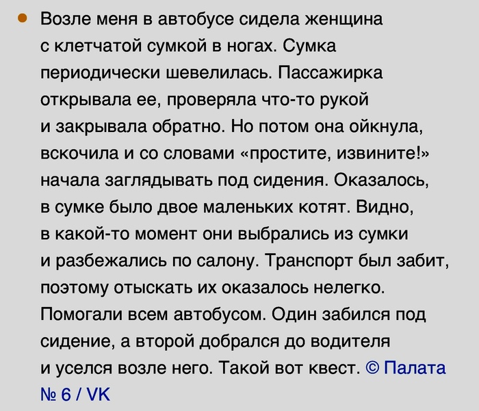 Милые попутчики