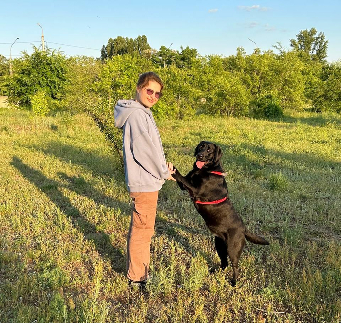 Любовь к собакам, кошкам обязательна!