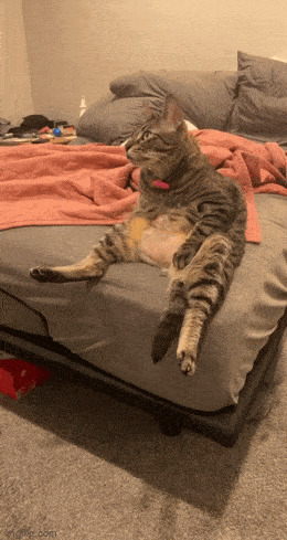      , , , 