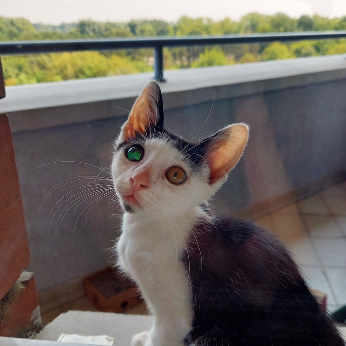 ���� ��������������� ����� ��������� ������ � ����� ���.