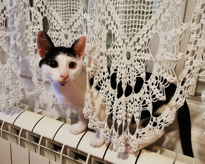 ����� �� ������� ����� �������.