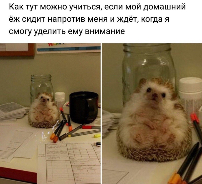 ���� � ���������...