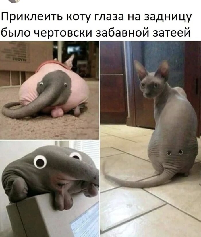 1696701292123313481.jpg